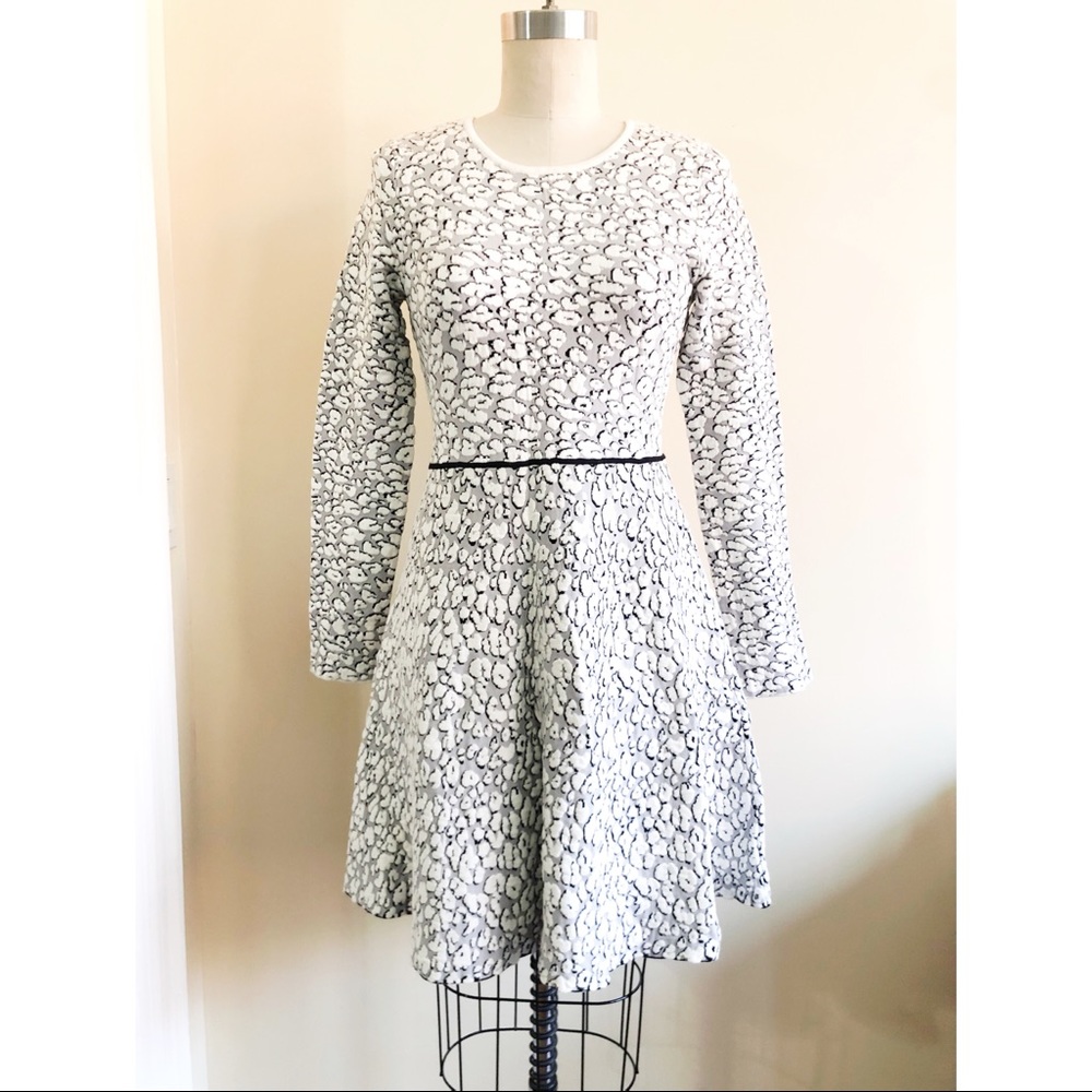 Eliza J Jacquard Knit Dress